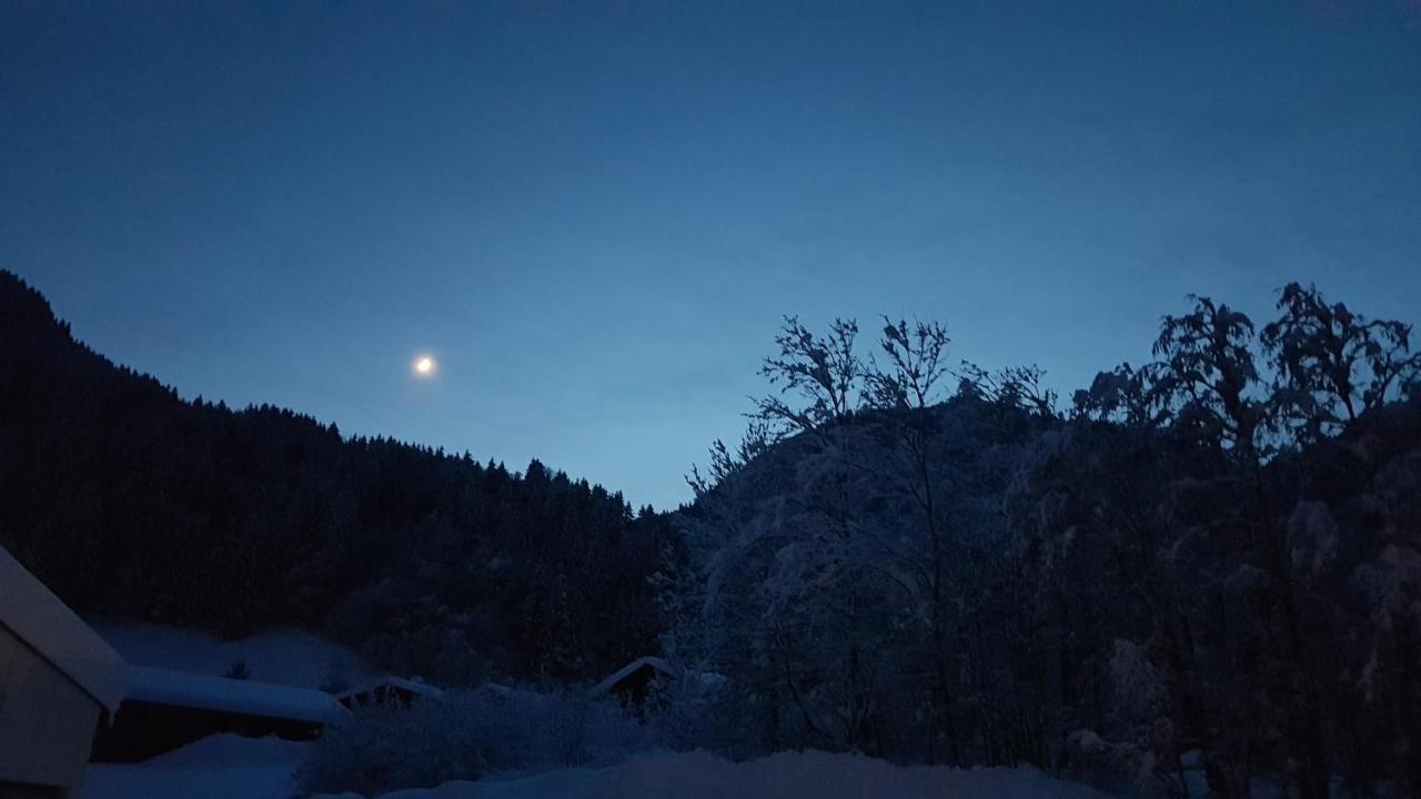 Haus Idili Διαμέρισμα Sankt Gallenkirch Εξωτερικό φωτογραφία