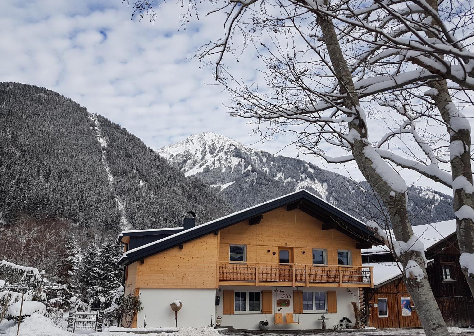 Haus Idili Διαμέρισμα Sankt Gallenkirch Εξωτερικό φωτογραφία